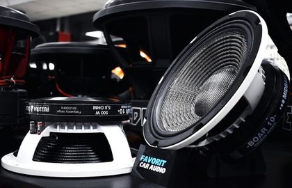 Настоящие монстры. Карбоновый диффузор, литая корзина, размер 10 дюймов, номинальная мощность 500RMS и звуковая катушка как у хорошего сабвуфера!