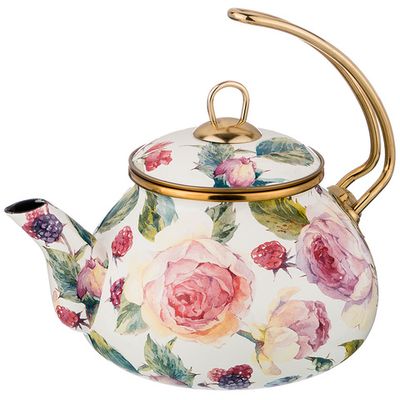 Чайники для кипячения Agness