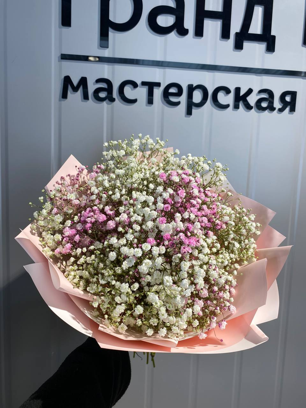 Букет из белой и розовой гипсофилы (7 шт)