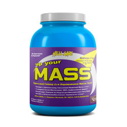 Hell Labs Up your mass (3000 гр.)