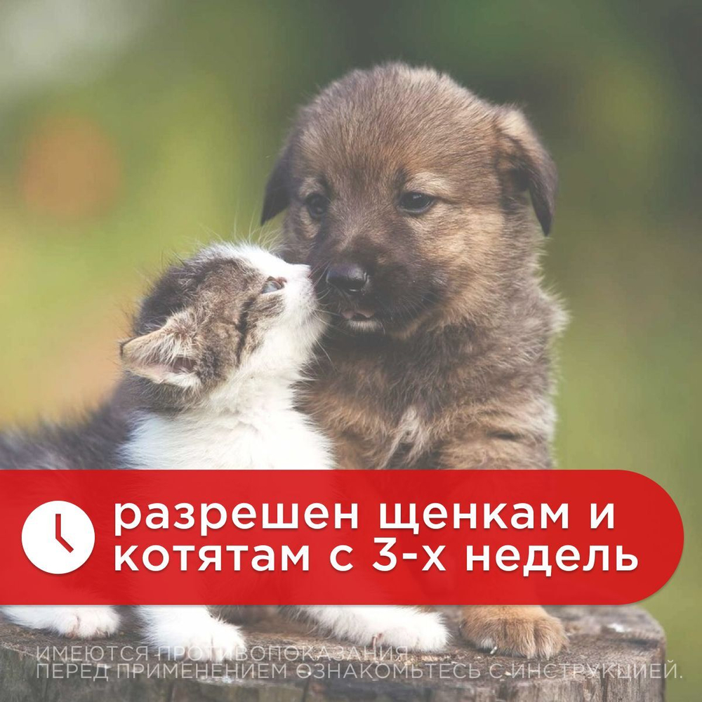 Паста от гельминтов Дирофен-60 для взрослых собак и кошек, 10мл
