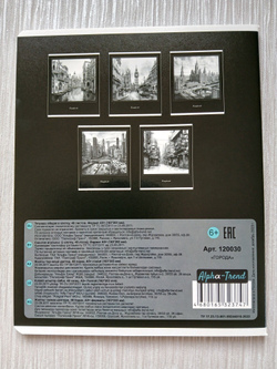 Тетрадь 48 листа А5+. "Города", общая, клетка. Формат А5+ (163*203 мм). Арт.120030. С полями. Комплект 5 шт.