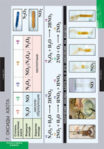 Комплект таблиц "Химия. Неметаллы"; 18 таблиц