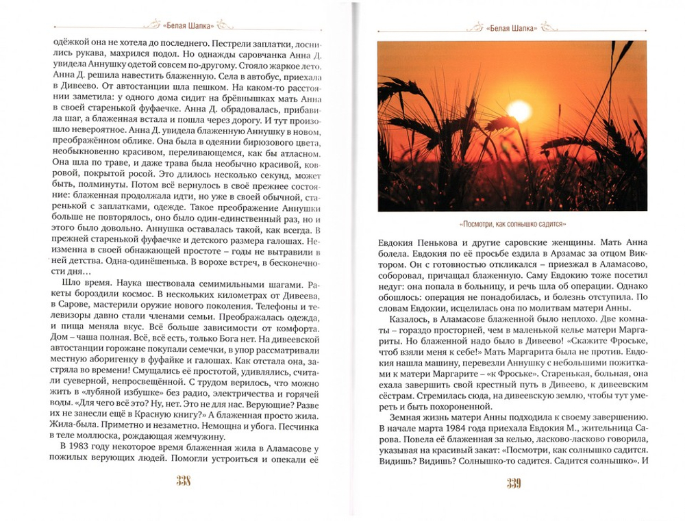 Аннушка. Крестный путь дивеевской блаженной Анны Васильевны Бобковой. В. А. Сидорова