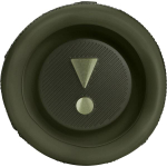 JBL Flip 6 Green