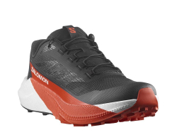 Кроссовки для бега мужские Salomon Pulsar M Black-Red