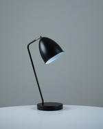 Лампа настольная Moderli V11000-T Otto