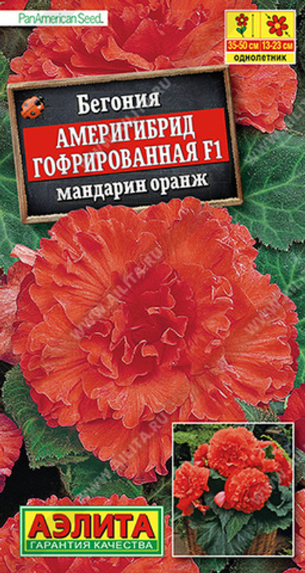 Бегония Америгибрид гофрированная F1 мандарин оранж  5шт Аэлита