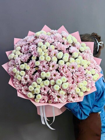 Букет из 31 кустовой хризантемы