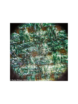 Микроскоп Levenhuk Rainbow 50L PLUS Аметист