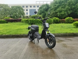 Электроскутер Skyboard Sevastopol 1800W