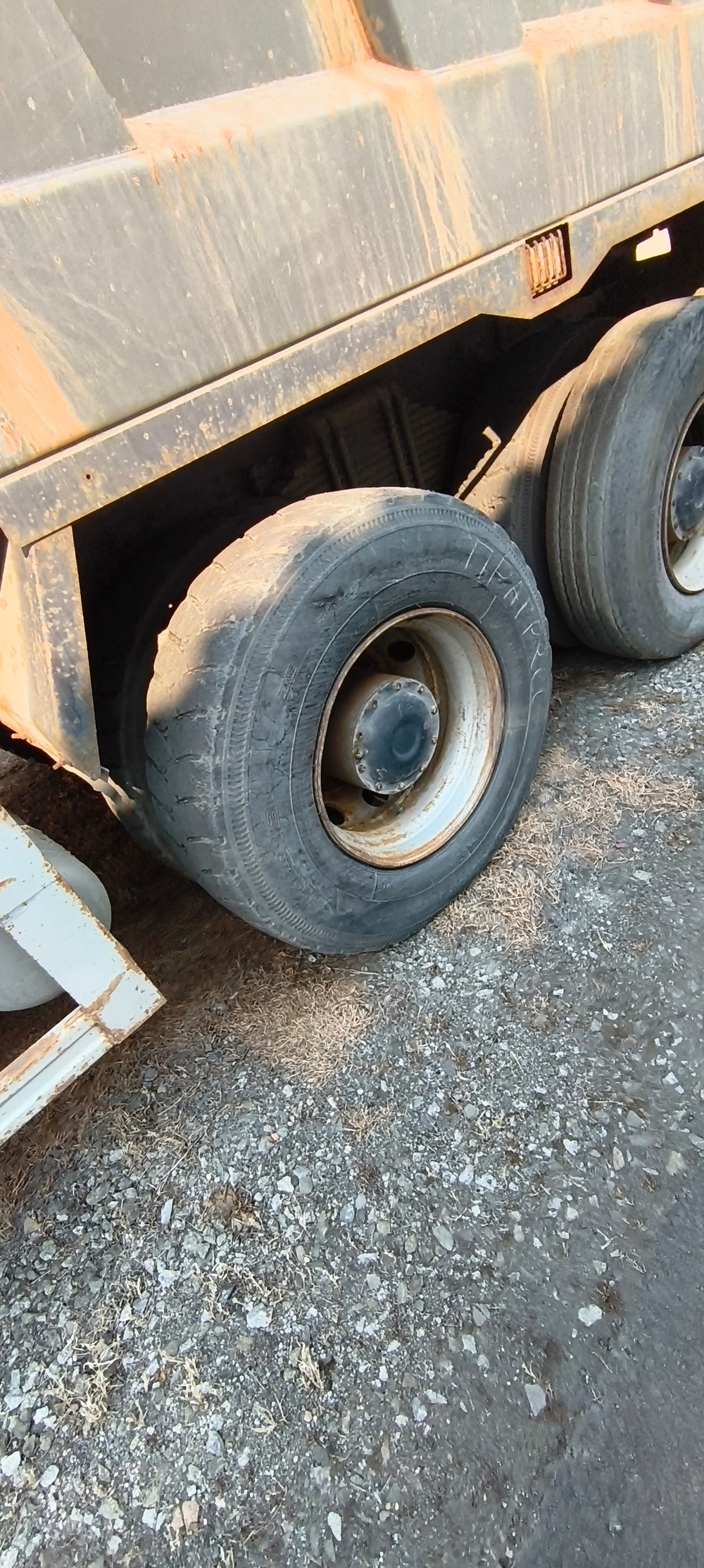 Shacman (Shaanxi) SX* 8x4 Самосвал SX33186W366C (Дизельный, 10,8 л, 441 л.с., МТ)