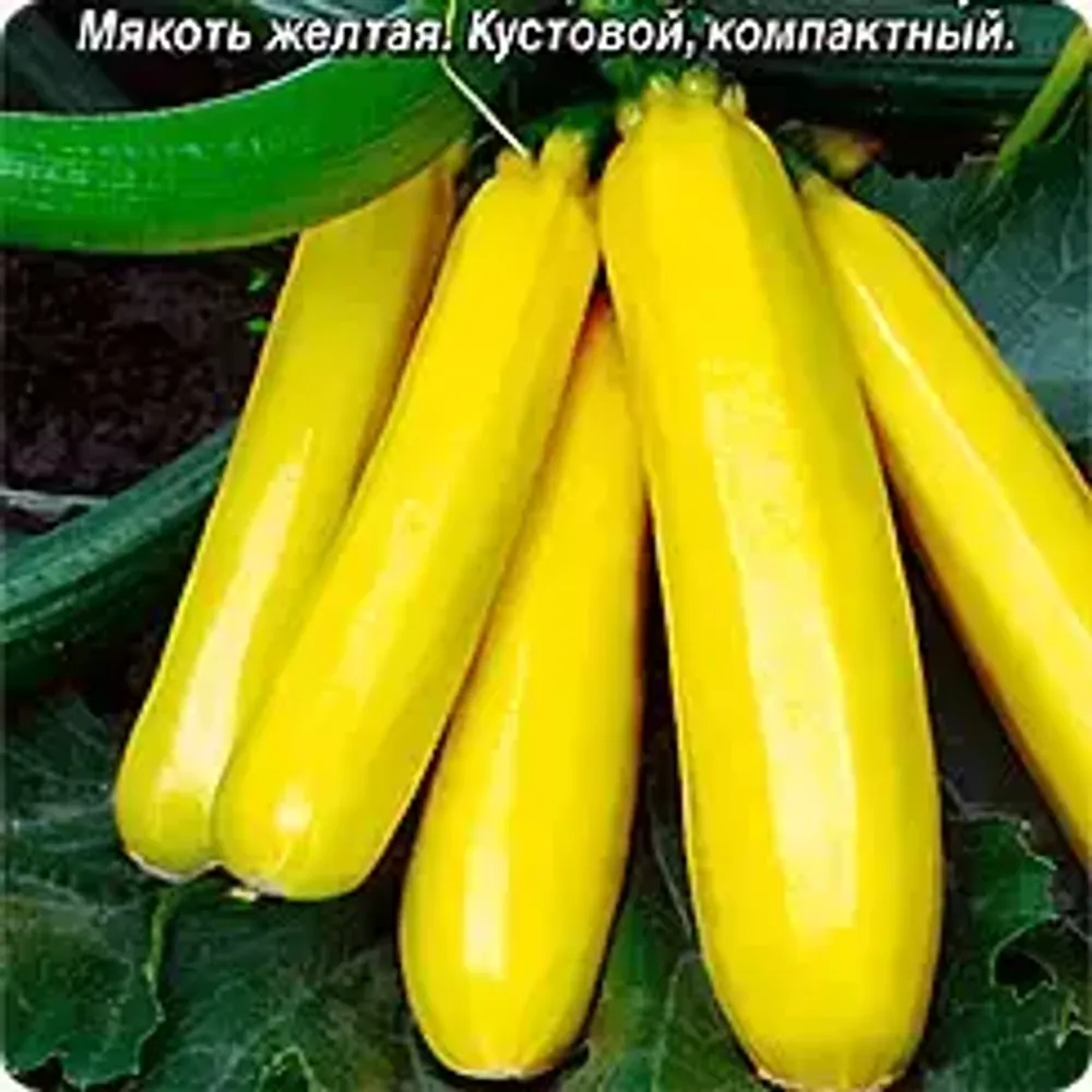 Кабачок цуккини Ананасный (аэ)