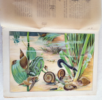 "В глубине вод". А.Шлейер. 1912г. - антикварное издание