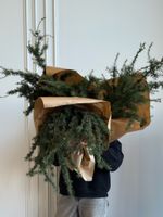 Хвоя - охапка пихты с шишками