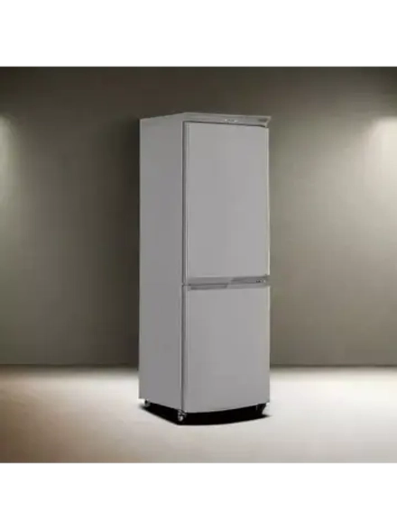 Холодильник двухкамерный R-290 NG