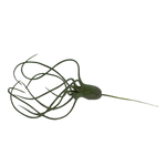 Тилландсия артишок мини 28х17 см