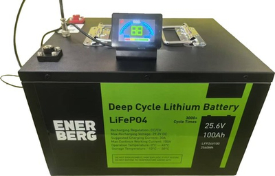 Тяговая аккумуляторная батарея ESB LFP24V100