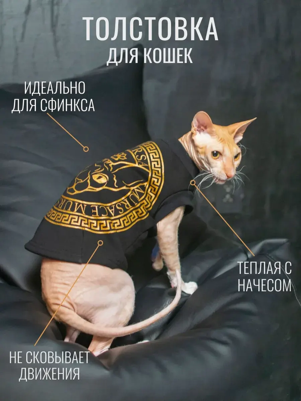 Одежда для кошек сфинкс
