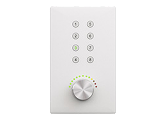 CVGAUDIO P-ZONER-W/IP/B настенная программируемая панель управления