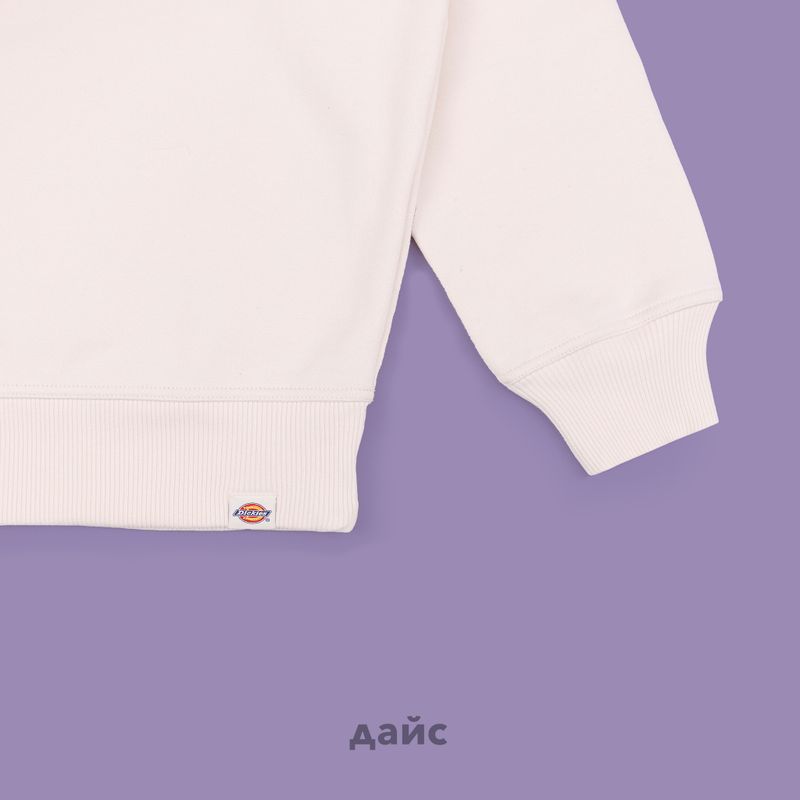 Толстовка мужская Dickies Enterprise Sweatshirt артикул:DK0A4Z4KF901 - купить в магазине Дайс