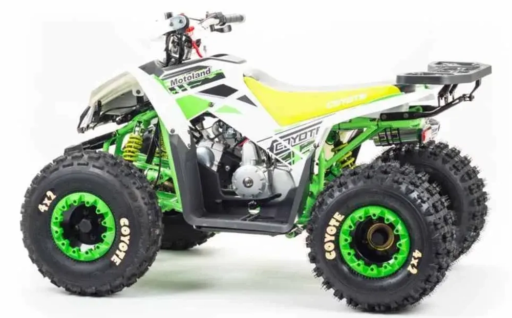 Квадроцикл Motoland 125 COYOTE