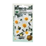 Семена Георгина Серебрянная лента 0,5гр