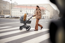 Детская коляска Anex l/type 3 в 1 Frost