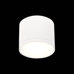 ST113.542.09 Светильник потолочный Белый LED 1*9W 4000K 702Lm Ra&gt;90 120° IP20 D88xH75 170-240V Накладные светильники