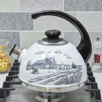 Чайник 2,5л со свистком, консольная ручка, белый "Черный домик"