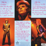 David Bowie / Pinups (LP)