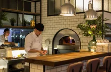 Печь для пиццы на газе и дровах Alfa Pizza Quick Pro Gas (7 пицц)