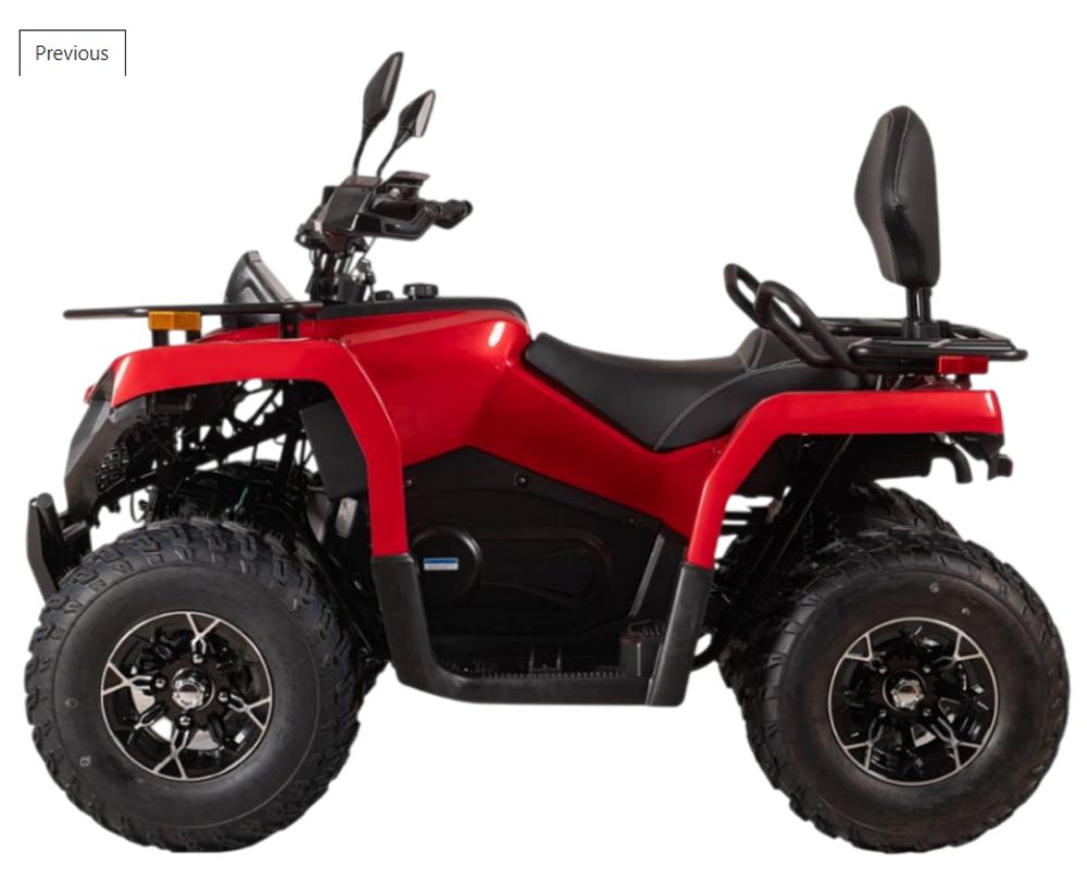 Квадроцикл Bizon YK200 BASIC CARB