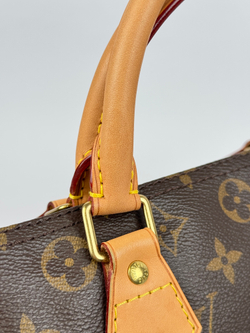 Сумка Louis Vuitton Speedy 30
