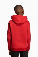 Кофта adidas Entrada 26 Sweat Junior - красный