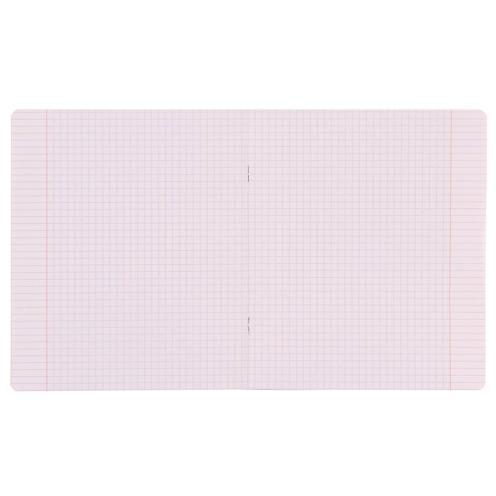 Тетрадь школьная А5 12л клетка,зеленая "Bright" (Erich Krause) микс цветов (комплект 5 шт)