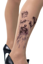 Колготки +size с принтом в виде терьера (Размер: XL-XXL-XXXL) (Цвет: бежевый)