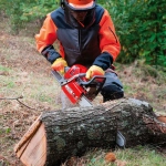 EFCO MT 6500 бензопила 50259002E1