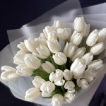 Букет из 49 белых тюльпанов