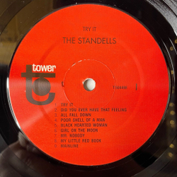 Винтажная виниловая пластинка LP The Standells Try It (USA 2004) (Bootleg)