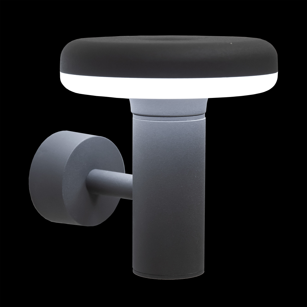 Citilux GARDA CLU01W LED Уличный настенный светильник Графит