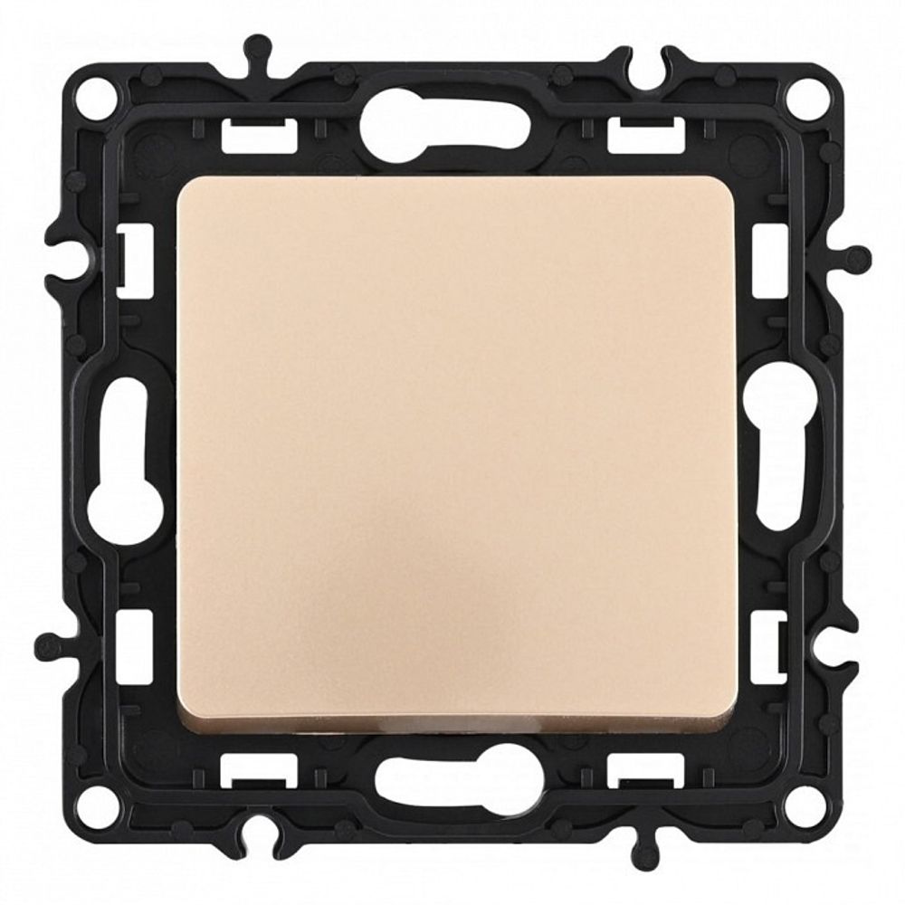 Выключатель одноклавишный без рамки Arte Milano 217 217.30-1.shampan