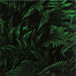 The Ocean Collective / Phanerozoic I: Palaeozoic (Limited Edition)(2CD+DVD)