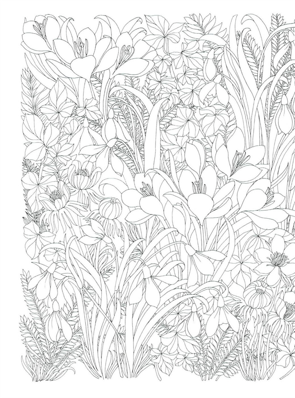 The flower year. Coloring Book (Korea)