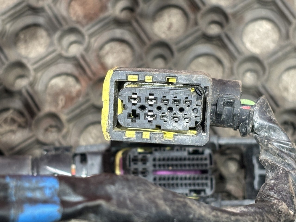 Проводка двигателя 2021г.