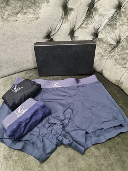 Боксеры Ermenegildo Zegna