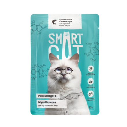 Smart Cat 85г пауч Влажный корм для взрослых кошек и котят Лосось (соус)