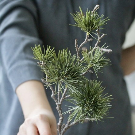 Сосновая ветвь 50 см
