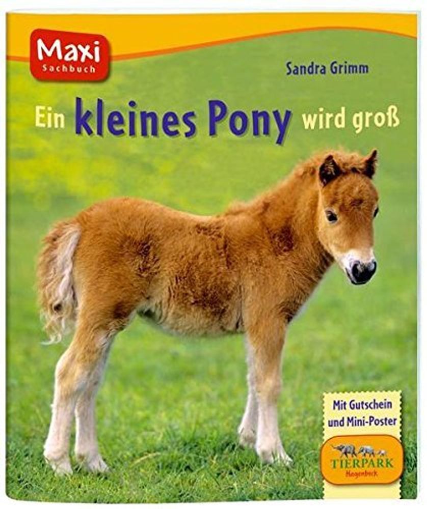 Ein kleines Pony wird gro?