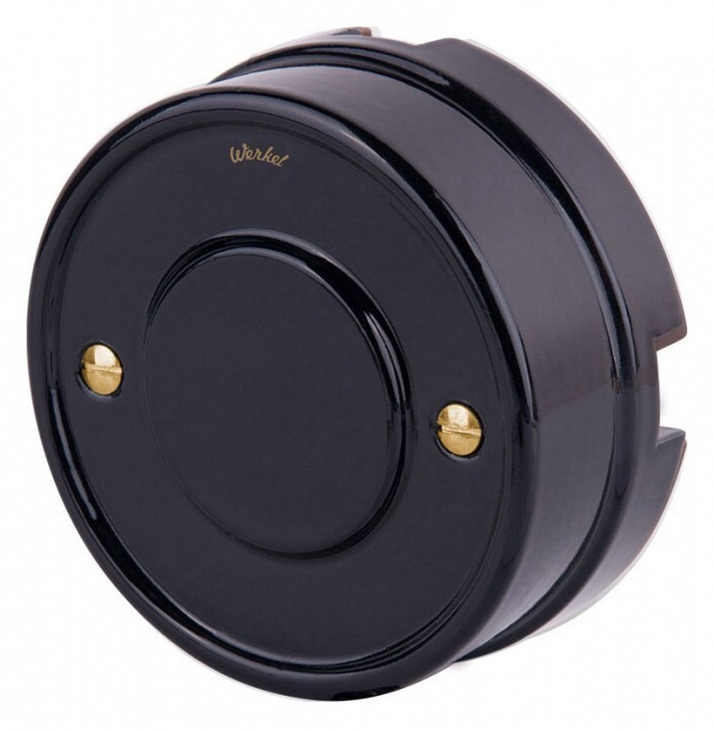 Винт Werkel Ретро (золото) WL18-22-01